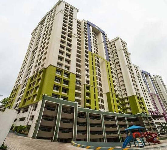 Olive Kalista Arista